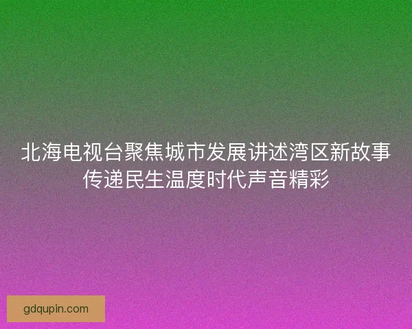 北海电视台聚焦城市发展讲述湾区新故事传递民生温度时代声音精彩