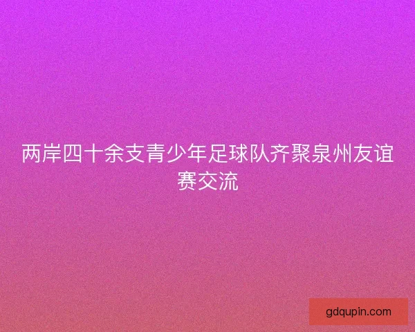 两岸四十余支青少年足球队齐聚泉州友谊赛交流